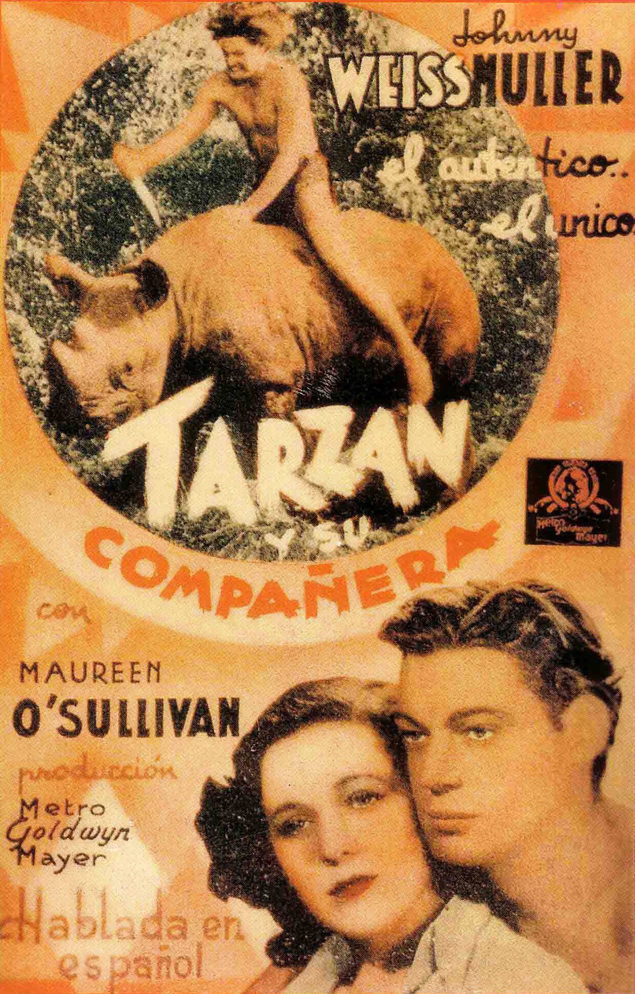 Tarzán y su compañera (1934) - tt0025862 | Tarzan, Tarzan 